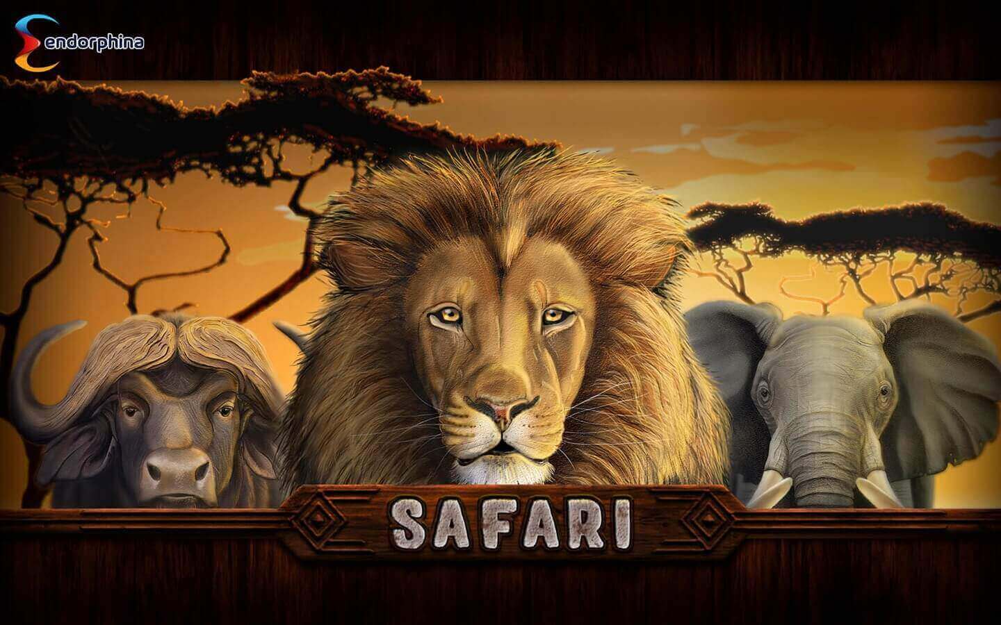 Safari Spel proces