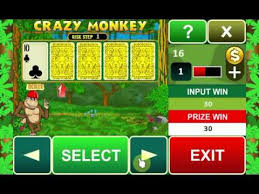 Crazy Monkey Spel proces