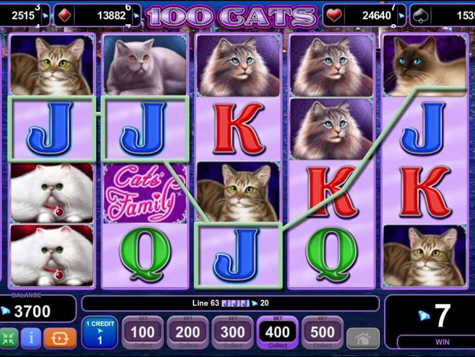 100 Cats Spel proces